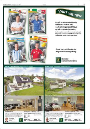 stjordalsnytt-20140625_000_00_00_011.pdf