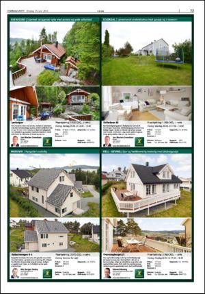 stjordalsnytt-20140625_000_00_00_013.pdf