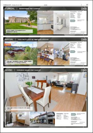 stjordalsnytt-20140625_000_00_00_017.pdf