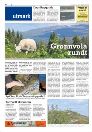 stjordalsnytt-20140625_000_00_00_040.pdf