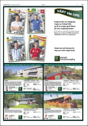 stjordalsnytt-20140709_000_00_00_013.pdf