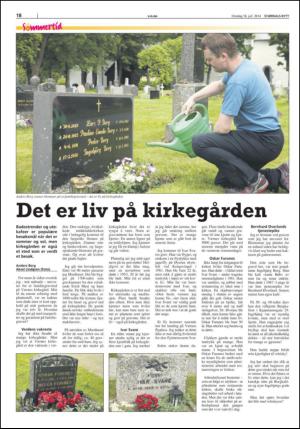 stjordalsnytt-20140716_000_00_00_018.pdf