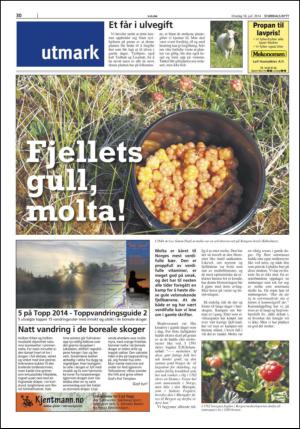 stjordalsnytt-20140716_000_00_00_030.pdf