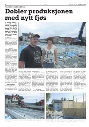 stjordalsnytt-20140723_000_00_00_006.pdf