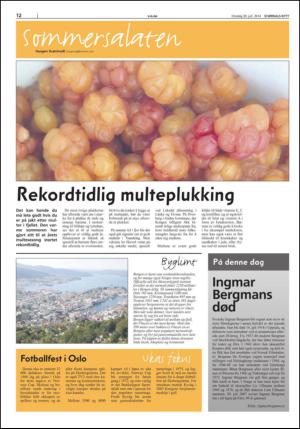 stjordalsnytt-20140730_000_00_00_012.pdf