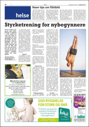 stjordalsnytt-20140730_000_00_00_020.pdf