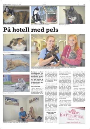 stjordalsnytt-20140730_000_00_00_023.pdf