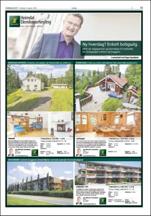 stjordalsnytt-20140806_000_00_00_013.pdf