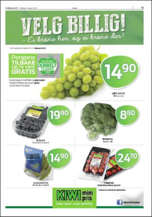 stjordalsnytt-20140806_000_00_00_015.pdf