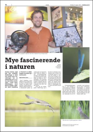 stjordalsnytt-20140813_000_00_00_016.pdf