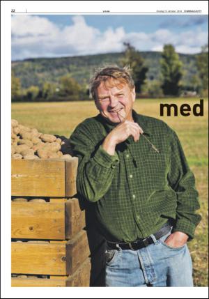 stjordalsnytt-20141015_000_00_00_022.pdf