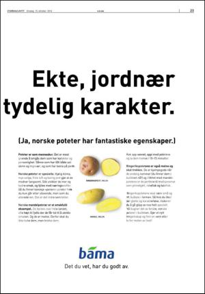 stjordalsnytt-20141015_000_00_00_023.pdf