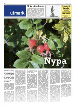 stjordalsnytt-20141015_000_00_00_038.pdf