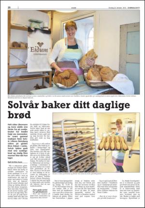 stjordalsnytt-20141022_000_00_00_020.pdf