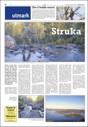 stjordalsnytt-20141203_000_00_00_040.pdf
