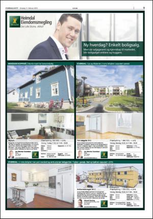 stjordalsnytt-20150211_000_00_00_009.pdf