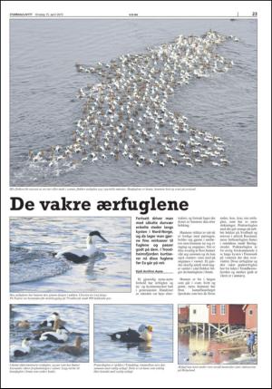 stjordalsnytt-20150415_000_00_00_023.pdf