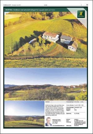 stjordalsnytt-20150506_000_00_00_015.pdf