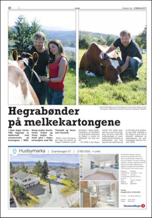 stjordalsnytt-20150506_000_00_00_020.pdf