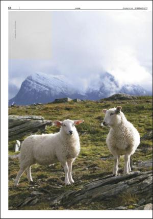 stjordalsnytt-20150506_000_00_00_062.pdf