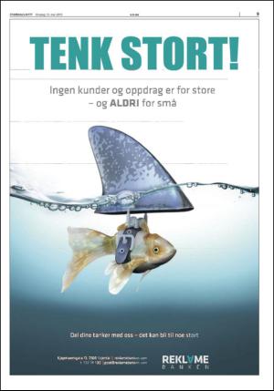 stjordalsnytt-20150513_000_00_00_009.pdf