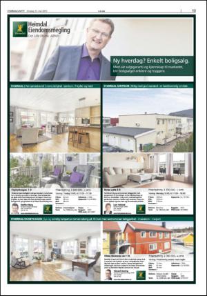 stjordalsnytt-20150513_000_00_00_013.pdf