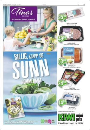 stjordalsnytt-20150527_000_00_00_023.pdf