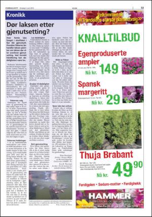 stjordalsnytt-20150603_000_00_00_053.pdf