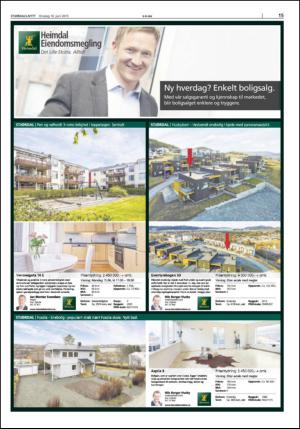 stjordalsnytt-20150610_000_00_00_015.pdf