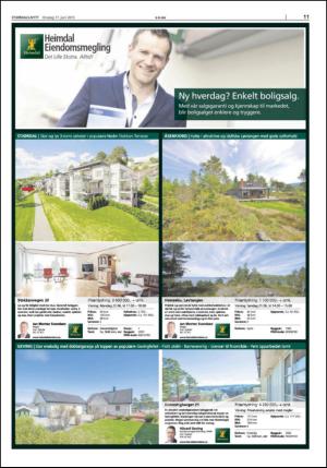 stjordalsnytt-20150617_000_00_00_011.pdf