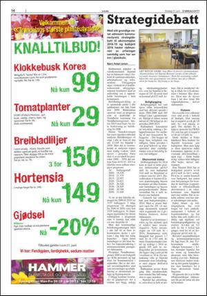 stjordalsnytt-20150617_000_00_00_014.pdf