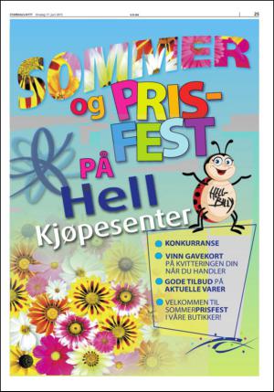 stjordalsnytt-20150617_000_00_00_025.pdf