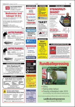 stjordalsnytt-20150617_000_00_00_049.pdf