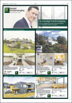 stjordalsnytt-20150624_000_00_00_009.pdf