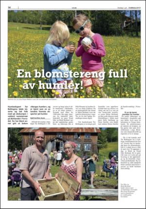 stjordalsnytt-20150701_000_00_00_014.pdf