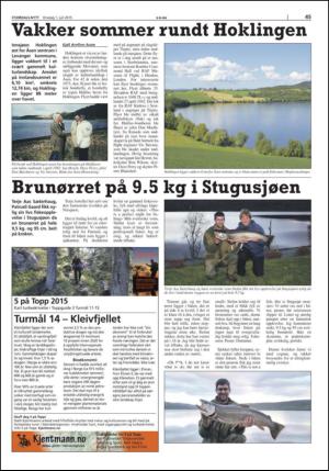 stjordalsnytt-20150701_000_00_00_045.pdf