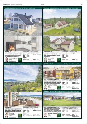 stjordalsnytt-20150902_000_00_00_015.pdf