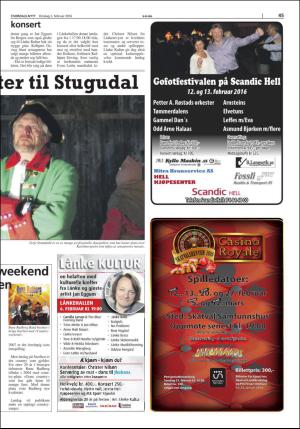 stjordalsnytt-20160203_000_00_00_045.pdf