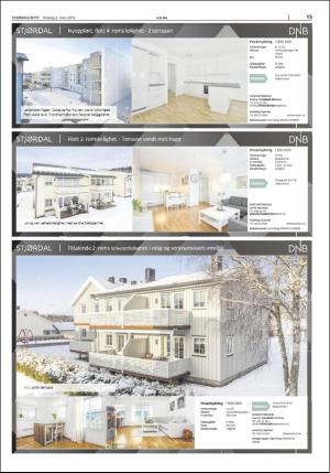 stjordalsnytt-20160302_000_00_00_015.pdf