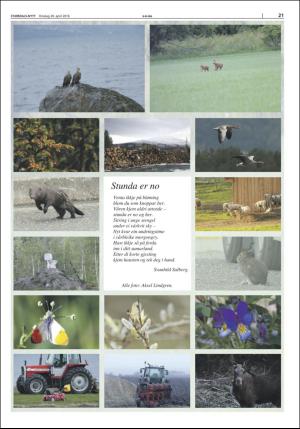 stjordalsnytt-20160420_000_00_00_021.pdf