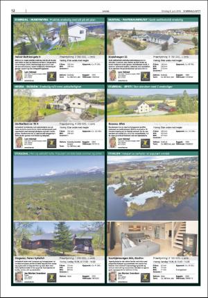 stjordalsnytt-20160608_000_00_00_012.pdf