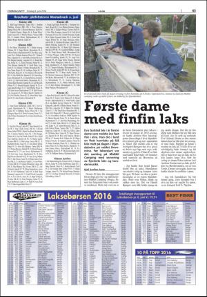 stjordalsnytt-20160608_000_00_00_045.pdf