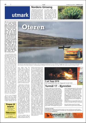 stjordalsnytt-20160622_000_00_00_042.pdf