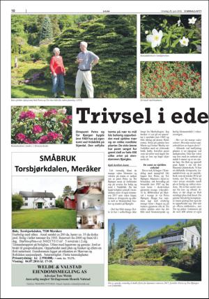 stjordalsnytt-20160629_000_00_00_010.pdf