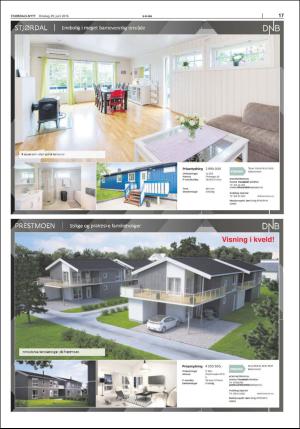 stjordalsnytt-20160629_000_00_00_017.pdf