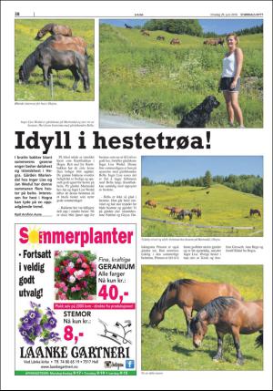 stjordalsnytt-20160629_000_00_00_038.pdf