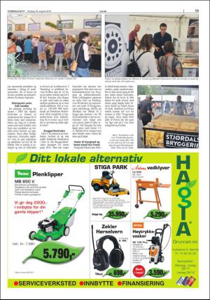 stjordalsnytt-20160810_000_00_00_015.pdf