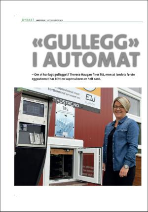 stjordalsnytt-20160921_000_00_00_064.pdf