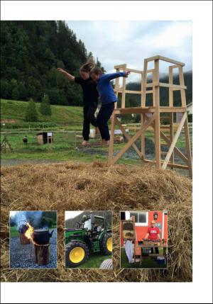 stjordalsnytt-20160921_000_00_00_069.pdf