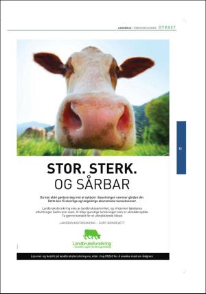 stjordalsnytt-20160921_000_00_00_071.pdf